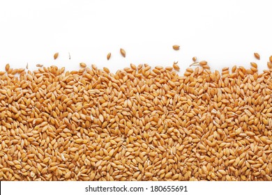 438,392 Wheat grain white background Images, Stock Photos & Vectors ...