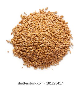 Grain of the wheat on a white background