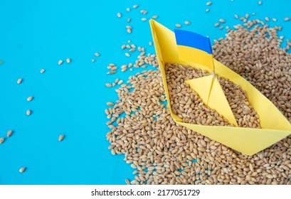 grain wheat and spikelets on a blue background. Ukrainian grain and problems of sea blockade of ports.	
 - Shutterstock ID 2177051729