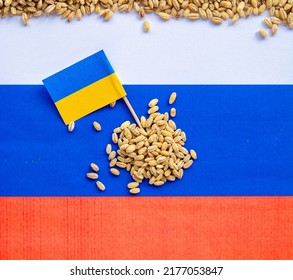 grain wheat and spikelets on a blue background. Ukrainian grain and problems of sea blockade of ports.	
 - Shutterstock ID 2177053847