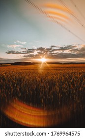 Grainfield Cornfield Farmland Sunset Golden Hour Country Sun 