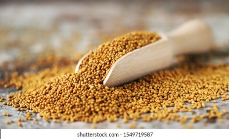 Grains of mustard. Mustard Seeds Vegan concept. Healthy diet. Selective focus. Macro.