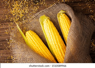 Grains of ripe corn on wooden background.Fresh corn on cobs on rustic wooden background in burlap near the corn grits. closeup - Shutterstock ID 1510589966