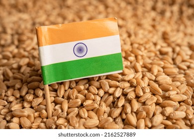 Grains Wheat With India Flag, Trade Export And Economy Concept.