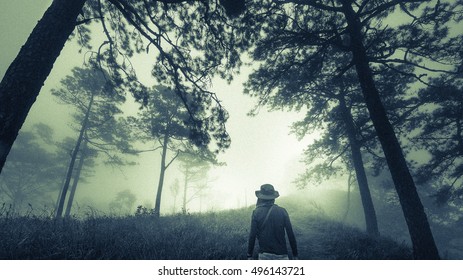 16,462 Eerie forest Images, Stock Photos & Vectors | Shutterstock