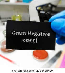 Gram Negative cocci, medical and healthcare conceptual image. Escherichia, Salmonella, Klebsiella and cocci of the genera Neisseria etc