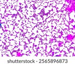 Gram stain of the bacterium, Staphylococcus aureus. This bacteria is gram positive, as such it appears purple after staining due to the thick peptidoglycan. The round cells are also seen in clusters.