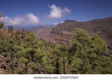 Gran Canaria, paisaje de la parte sur de la isla, ruta de senderismo del ascenso de la montaña Tauro