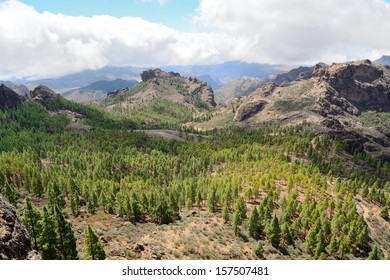 Gran Canaria Mountain Landscape. View From Roque Nublo Peak. 