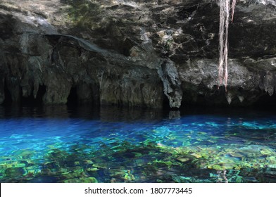 Gran Cenote In Tulum - Mexico