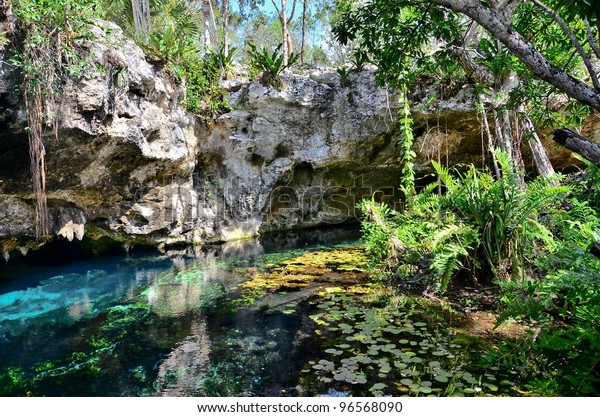 Gran Cenote Tulum Mexico Stock Photo (Edit Now) 96568090