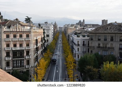 Gran Vía de Granada with the yellow autumn Ginkgo biloba
