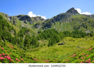 Gran Paradiso National Park. Aosta Valley, Italy. Beautiful mountain landscape in sunny day.