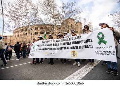 Granada, Andalusia, Spain. 19th February 2020 : Demonstration Of Farmers Protesting Against Unfair Prices Of Agricultural Products, Near The Bullring With Banners And Tractors