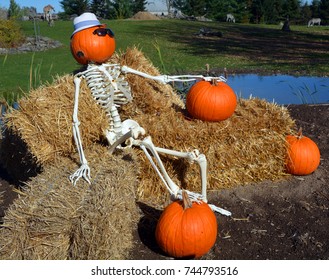 26 Hobo Pumpkin Images, Stock Photos & Vectors | Shutterstock