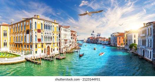 Grand Canal, view of the Lagoon near Santa Maria della Salute, Venice, Italy