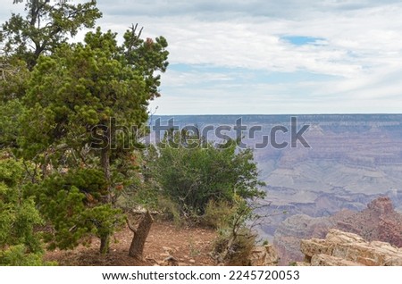 Grand Canyon and Colorado river scenic view from Yaki Point on the South Rim in Grand Canyon National Park  (Arizona, United States)