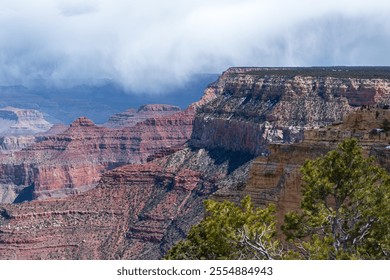 Grand Canyon landscape with dramatic clouds and foreground trees - Powered by Shutterstock