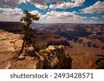 Grand Canyon National Park, North Rim. Landscape Canyon national park. Red rocks canyon in Utah.