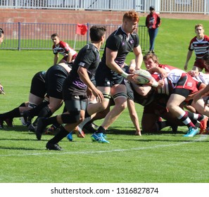 Grand Canyon University Lopes Club Rugby At GCU Stadium In Phoenix, Arizona/USA February 16,2019.