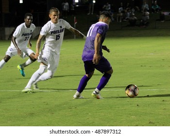 Grand Canyon University Lopes Soccer At GCU Stadium In Phoenix AZ USA 9,22,2016.