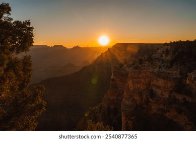 The Grand Canyon's cliffs and valleys are illuminated by a warm sunset glow. Clear skies enhance the vibrant colors, with trees visible in the foreground. - Powered by Shutterstock