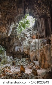 Grand Cayman Caribbean Crystal Caves