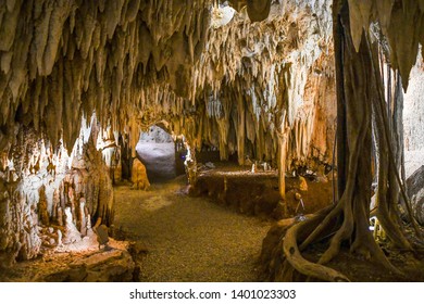 Grand Cayman Caribbean Crystal Caves