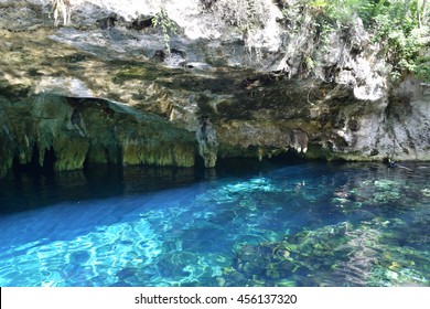 Grand Cenote, Tulum Mexico