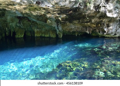 Grand Cenote, Tulum Mexico