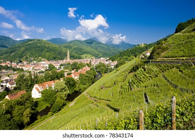 Grand Cru Vineyard, Thann, Alsace, France