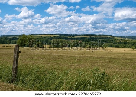 Grand Est, France. Meadows and fields in summer Imagine de stoc © 