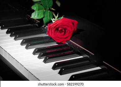 Image%20result%20for%20piano%20and%20rose