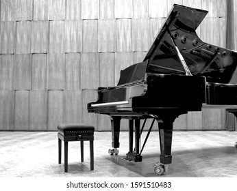 Grand Piano Set On Stage, B&W