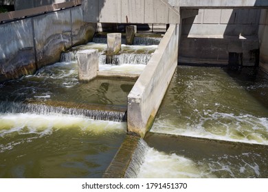 Grand Rapids, Michigan - Jul 30, 2020:  View Of The Famous Fish Ladder                               