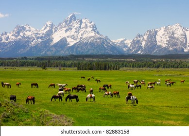 Grand Teton National Park