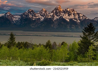 Grand Teton National Park as seen from Bridger-Teton National Forest, Aspens, evergreens and Teton Mountains across valley, Wyoming