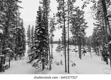 183 Grand tetons granite peaks Images, Stock Photos & Vectors ...