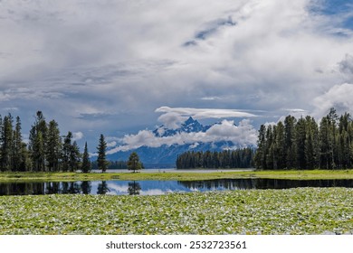 Grand Teton on a stormy day in August as seen from Heron Pond on the Heron Pond - Swan Lake Loop Trail - Powered by Shutterstock