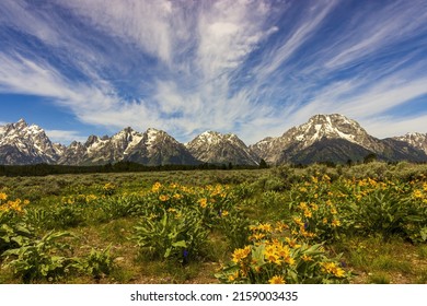 The Grand Teton Range In National Park