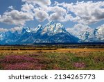 Grand Tetons with Ranch and Fields