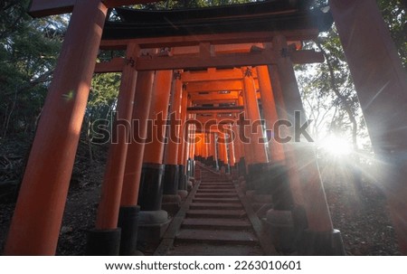 Grand torii gates in Fushimi Inari Taisha in sunrise. Translation of the Kanji to English: Dedication.