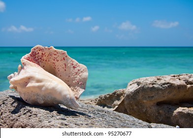 Grand Turk