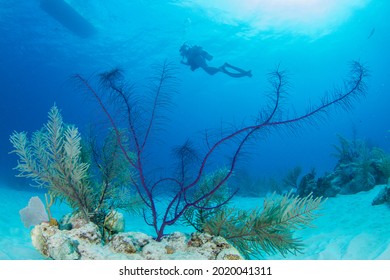 1,820 100 grand Images, Stock Photos & Vectors | Shutterstock