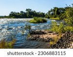 Grand Victoria Falls  in South Africa. Thundering Smoke National Park in Zambia. Raging Zambezi River to the waterfall. Fantastic walk after the rainy season. The concept of active and photo tourism