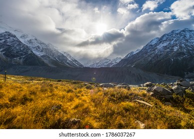 Grand View Of Mount Aoraki In Kea Point Track, New Zealand