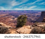 Grand View Point in Canyonlands National Park in Utah.