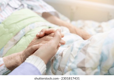 Granddaughter's hand holding grandmother's hand - Powered by Shutterstock