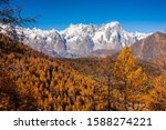 Grandes Jorasses, Mont Blanc massif, in autumn with foliage of larches