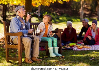 Grandfather blowing bubbles with granddaughter while family having breakfast at park during autumn - Powered by Shutterstock